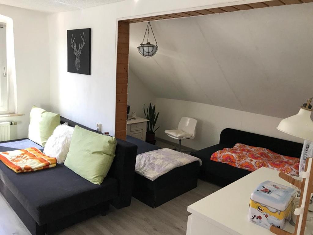 Ferienwohnung Im Einfamilienhaus, Automobil Und Robert Schumann Stadt Zwickau Eksteriør bilde